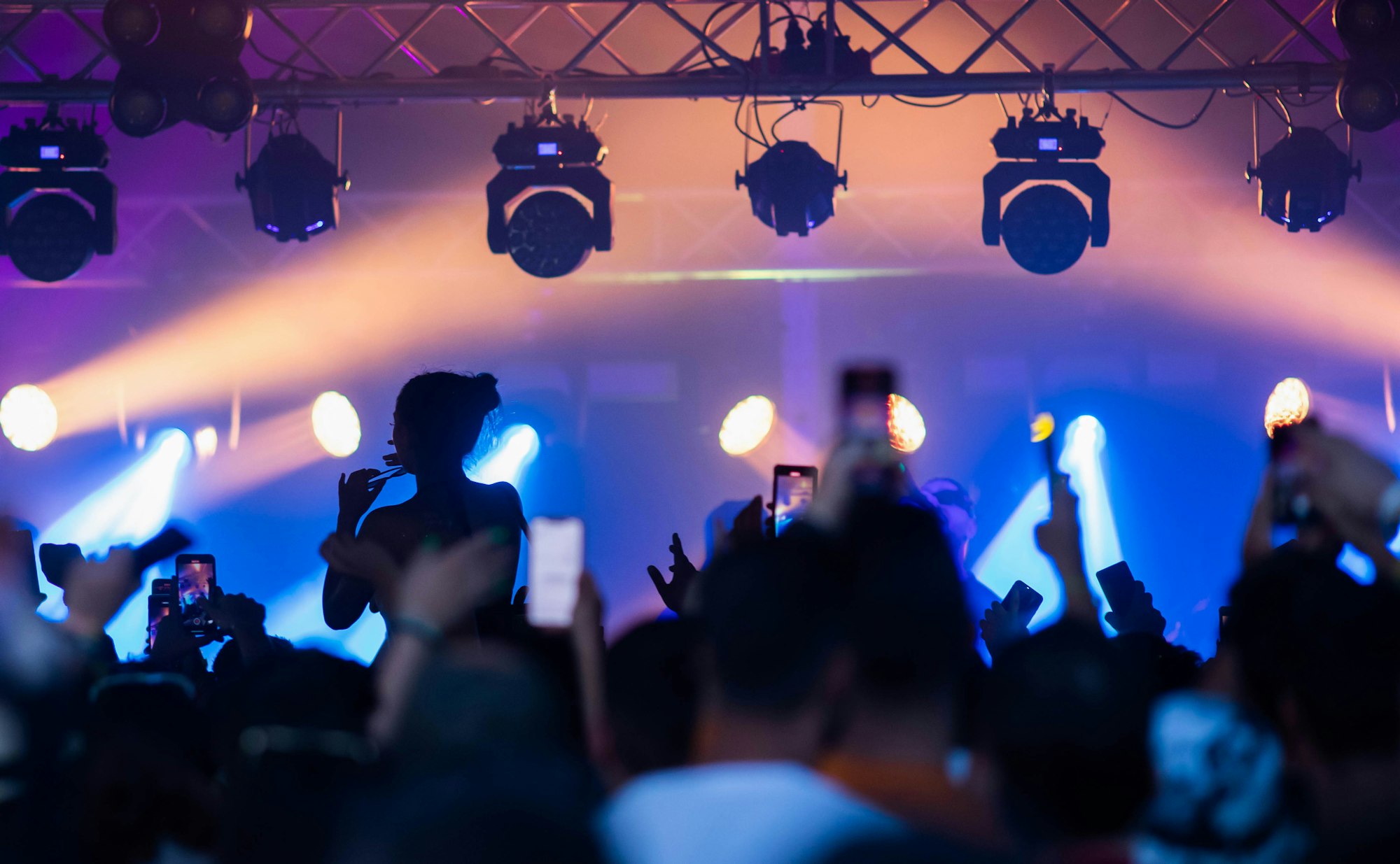 crowd at concert - summer music festival